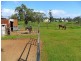 24 Weyers Road, Nudgee QLD 4014