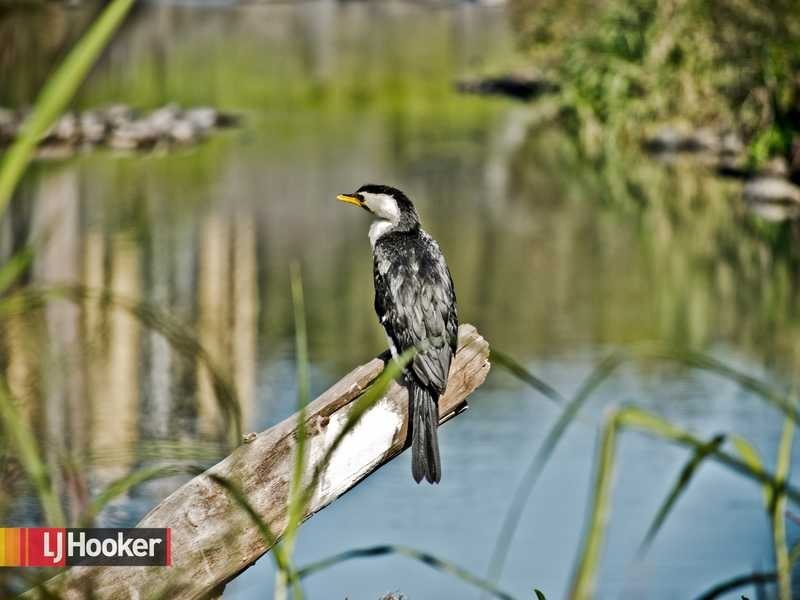 47 Norman Avenue, Lutwyche QLD 4030