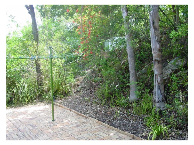 31 Conifer Street, Alderley QLD 4051