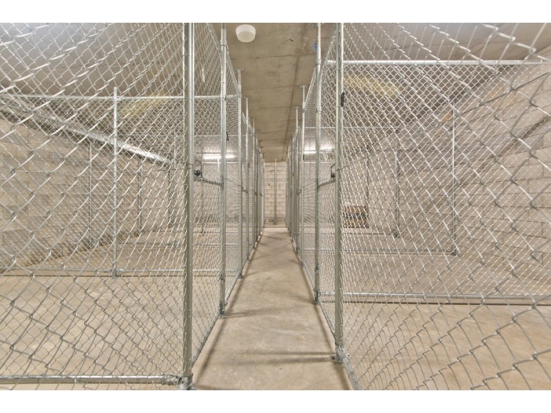 11/20 Minimine Street, Stafford QLD 4053