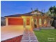 43 Candytuft Place, Calamvale QLD 4116