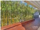 12 Fig Tree Street, Calamvale QLD 4116