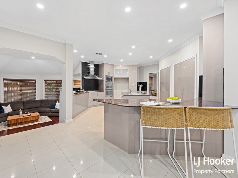 21 Wills Place, Macgregor QLD 4109