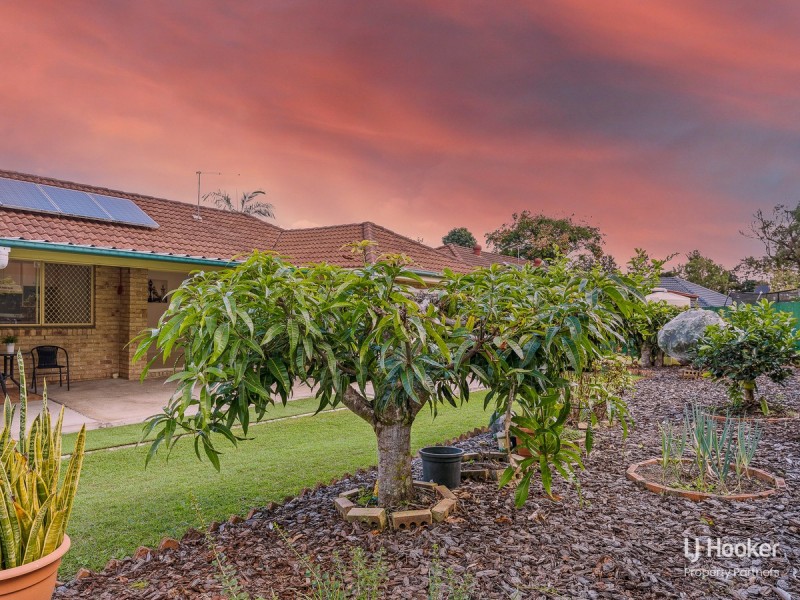 35 Solandra Crescent, Calamvale QLD 4116