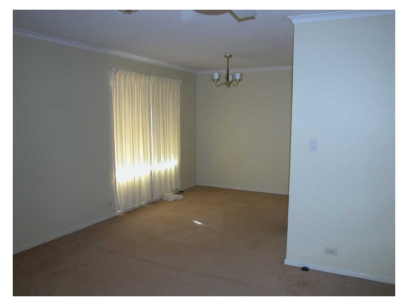 17 Chadford Street, Macgregor QLD 4109