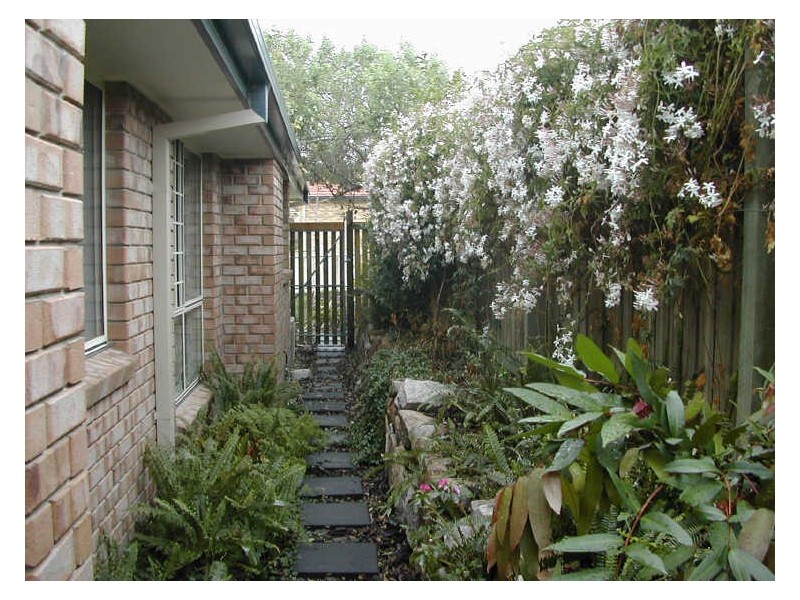 11 Swanbrook Place, Parkinson QLD 4115