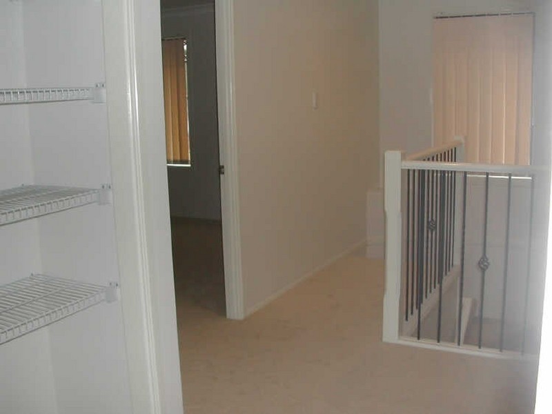 16 Tuckeroo Place, Sunnybank Hills QLD 4109