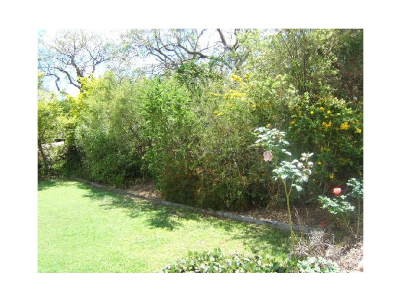 8 Homeland Street, Sunnybank Hills QLD 4109