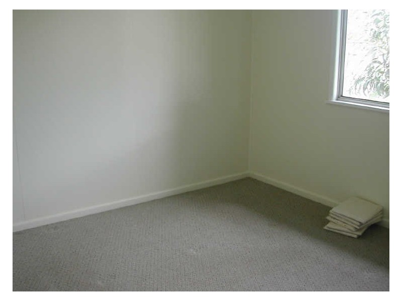 17 Kelceda Street, Sunnybank Hills QLD 4109