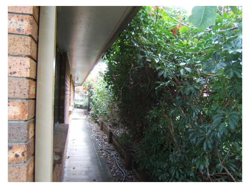 14 Driftwood Street, Sunnybank Hills QLD 4109