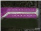 206 Bumstead Road, Park Ridge QLD 4125