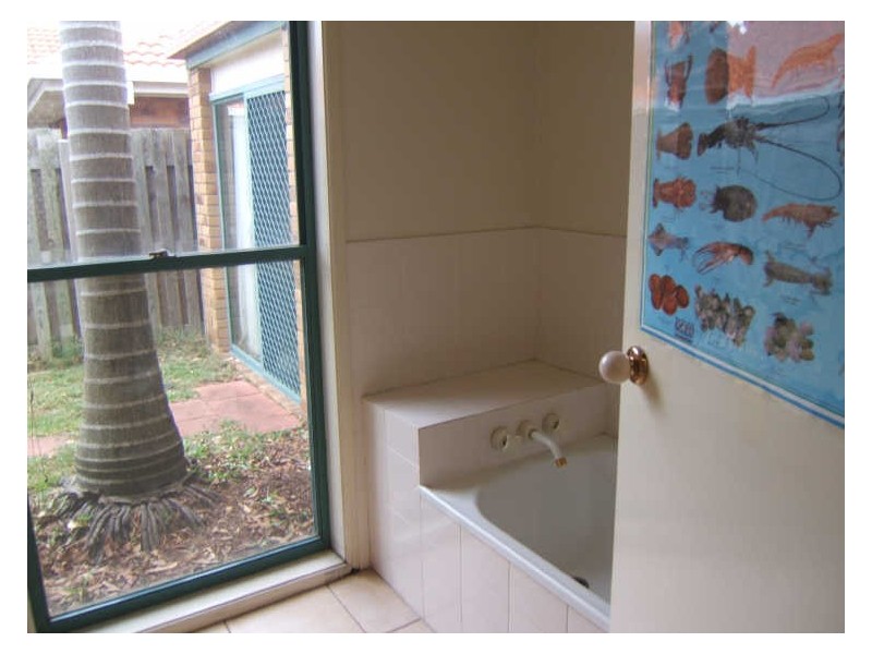 8 Benbek Circuit, Sunnybank Hills QLD 4109