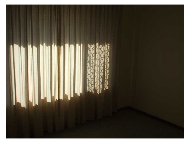 310 Gowan Road, Sunnybank Hills QLD 4109