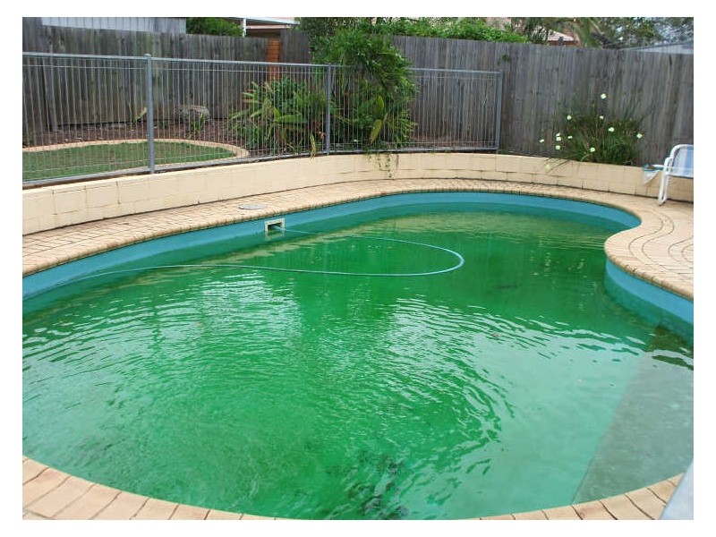 15 Nepeta Street, Runcorn QLD 4113