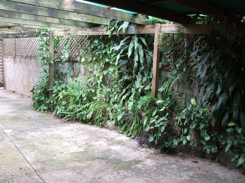 47 Cherrywood Street, Sunnybank Hills QLD 4109