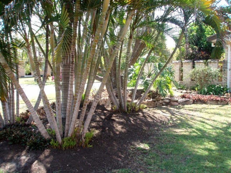 6 Krambruk Street, Sunnybank QLD 4109