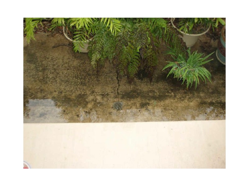 10 Daffodil Place, Runcorn QLD 4113