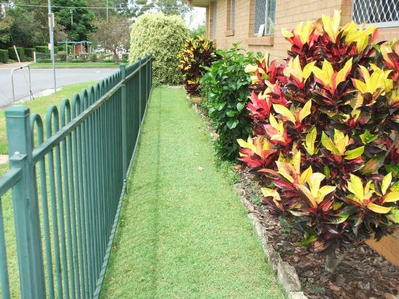 1/105 Turton Street, Sunnybank QLD 4109