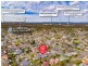 10 Rapanea Street, Algester QLD 4115