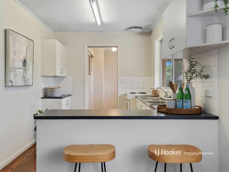 161 Fegen Drive, Moorooka QLD 4105