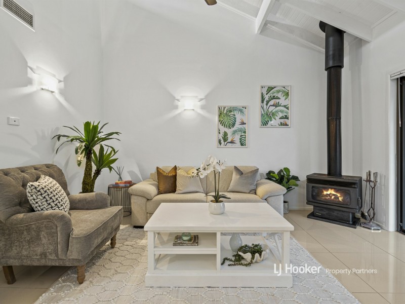 17 Cedrus Street, Sunnybank Hills QLD 4109