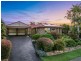 81 Helicia Street, Algester QLD 4115