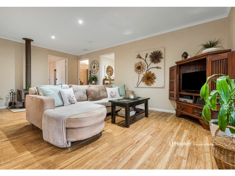 81 Helicia Street, Algester QLD 4115