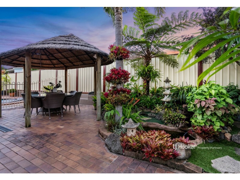 81 Helicia Street, Algester QLD 4115