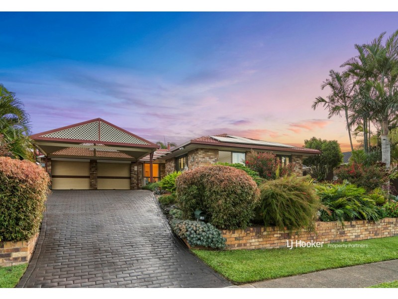 81 Helicia Street, Algester QLD 4115