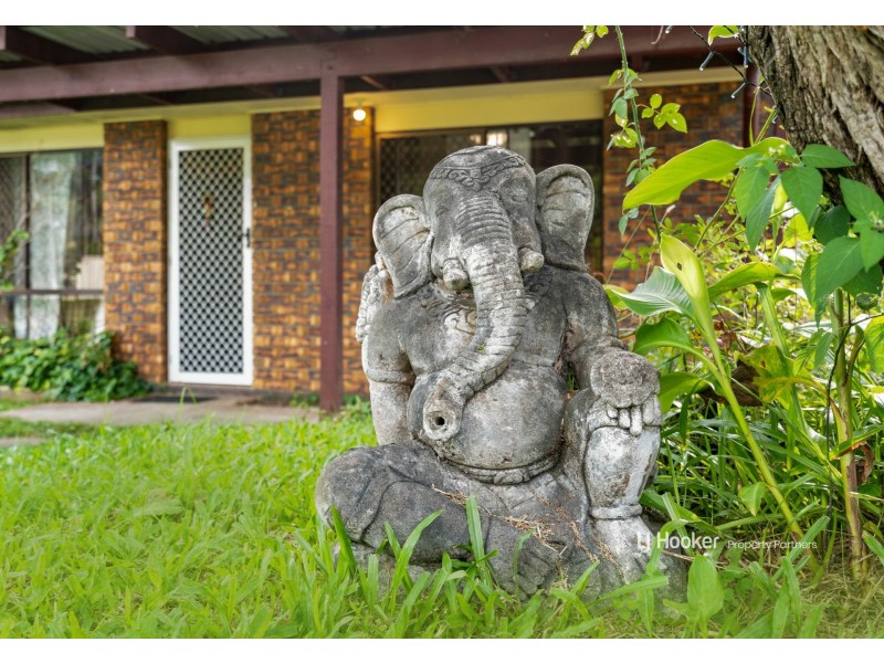 59 Anchusa Street, Kingston QLD 4114