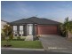 11 Bunya Drive, Park Ridge QLD 4125