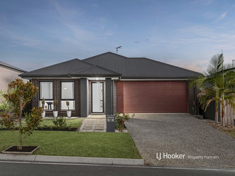 11 Bunya Drive, Park Ridge QLD 4125
