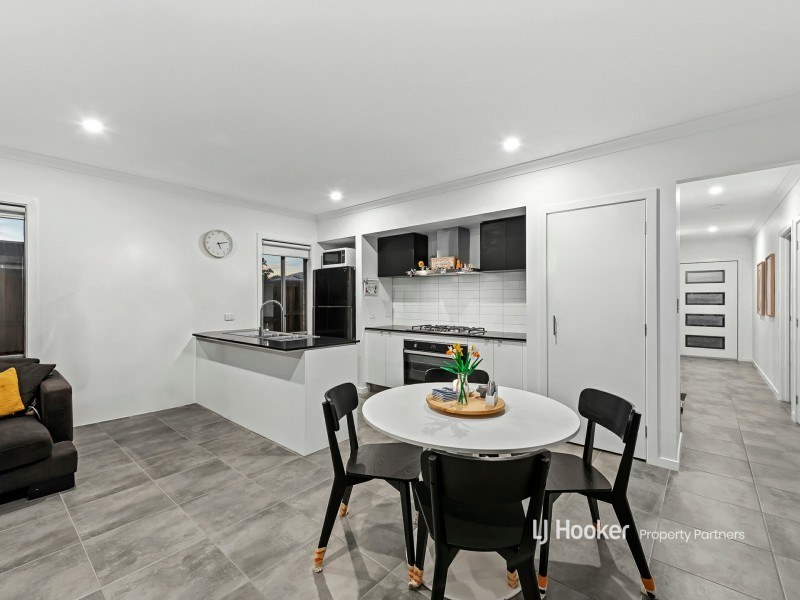 45 Birchwood Street, Park Ridge QLD 4125