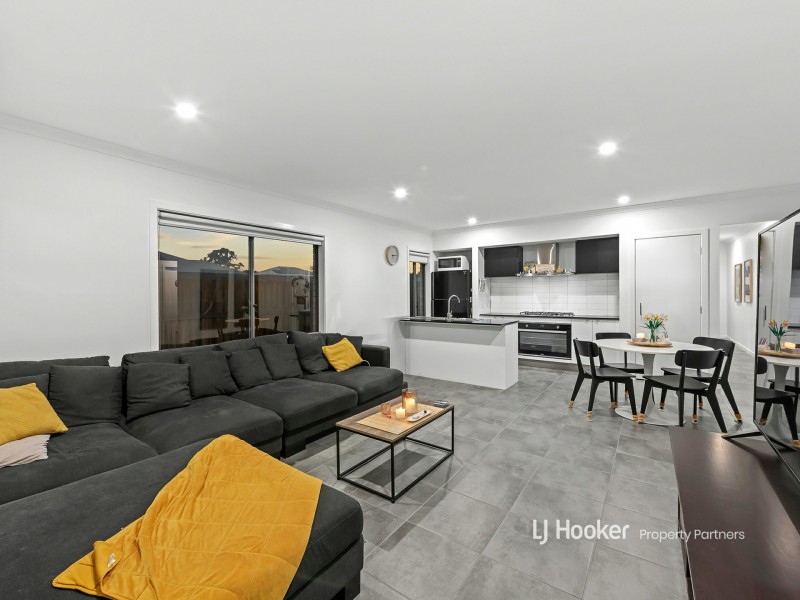 45 Birchwood Street, Park Ridge QLD 4125