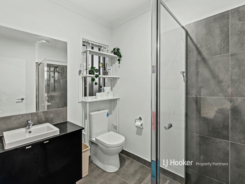 45 Birchwood Street, Park Ridge QLD 4125