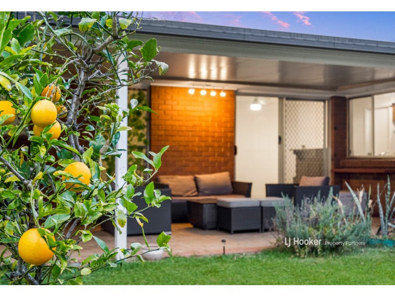 5 Alstonia Street, Algester QLD 4115