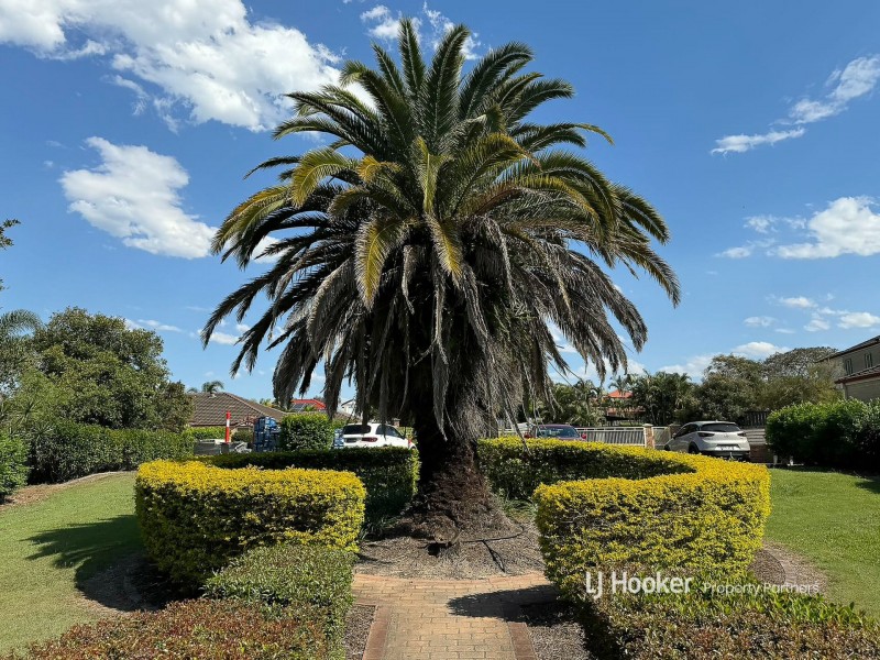 45/9 Hillview Street, Runcorn QLD 4113