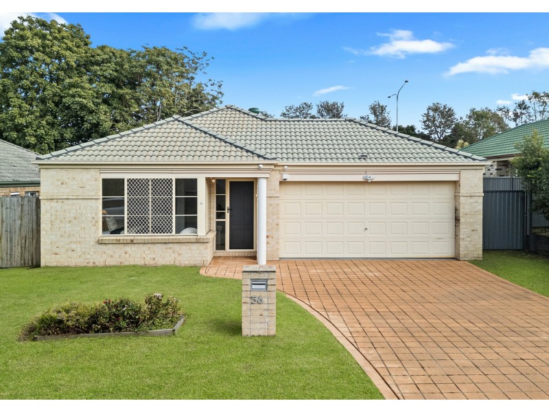 56 Solandra Crescent, Calamvale QLD 4116
