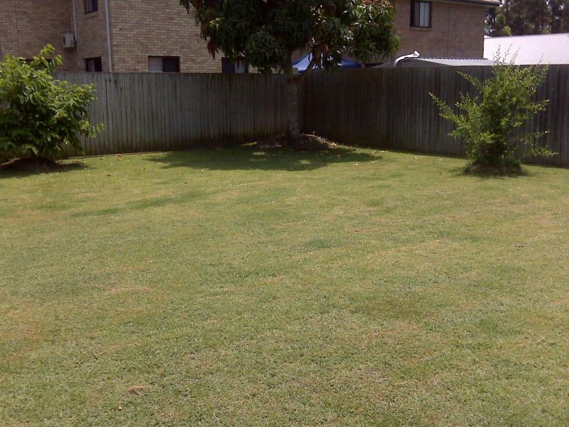 85 Park Avenue, Sunnybank Hills QLD 4109