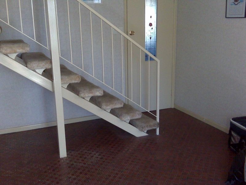 27 Newcombe Street, Sunnybank Hills QLD 4109