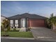 11 Bunya Drive, Park Ridge QLD 4125