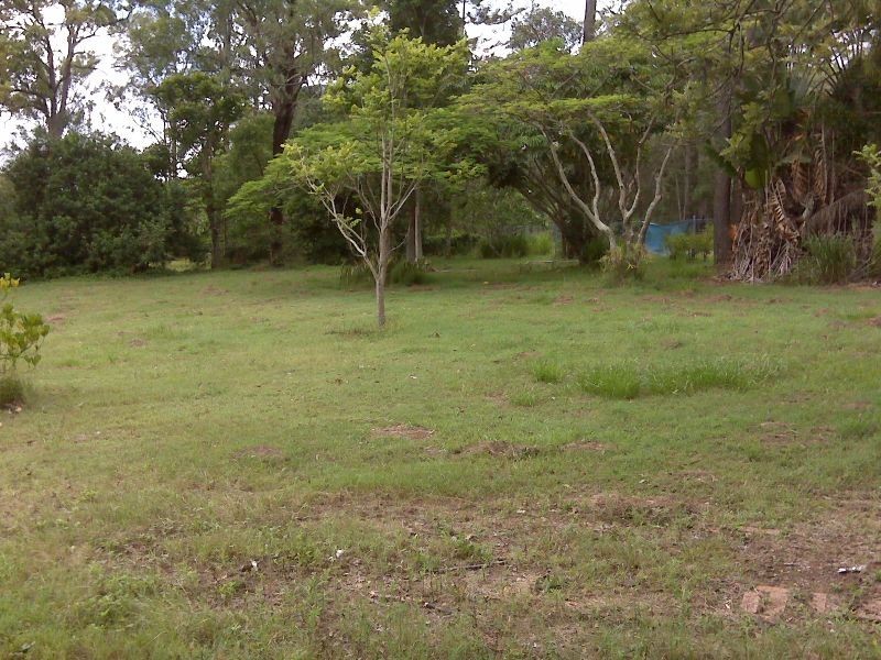 91 Gumtree Street, Runcorn QLD 4113