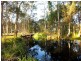 38 Billabong Place, Parkinson QLD 4115