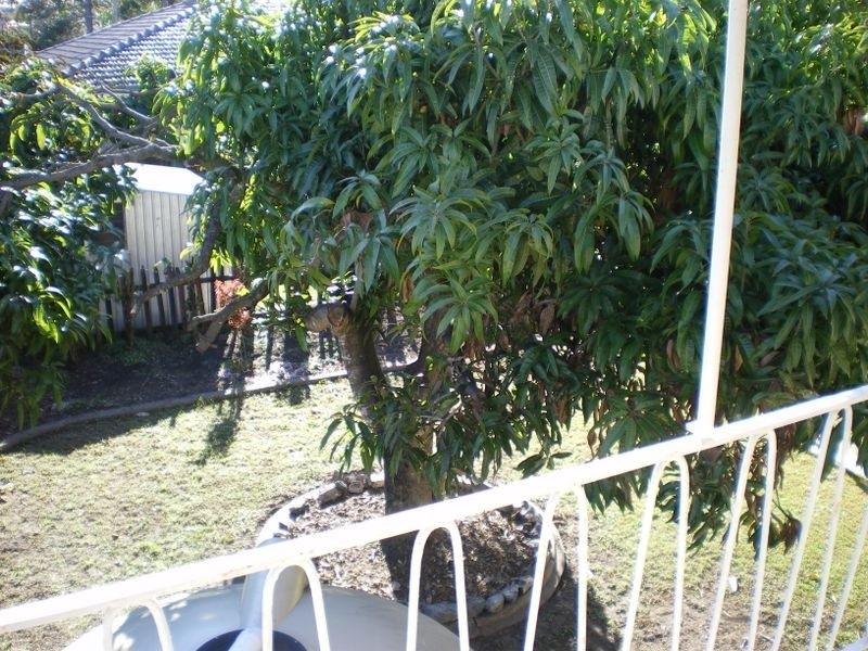 164 Lang Street, Sunnybank Hills QLD 4109