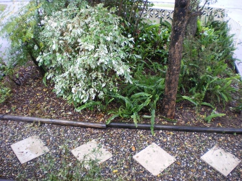 53 Jackson Road, Sunnybank Hills QLD 4109