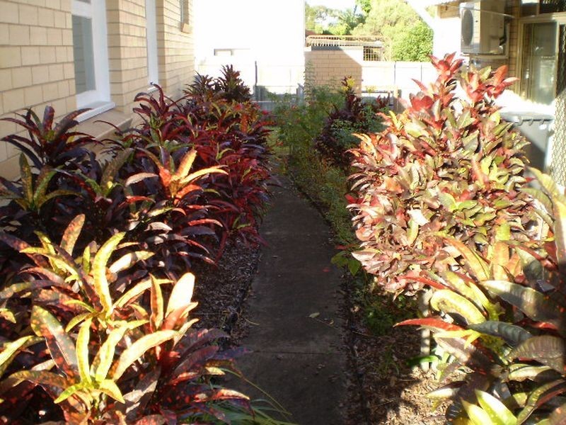 5 Pember Street, Sunnybank QLD 4109