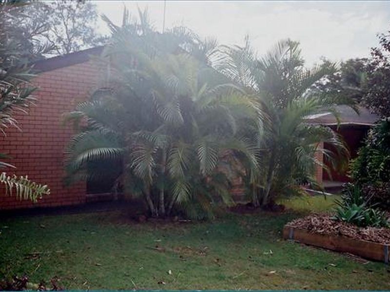 17 Eiley Street, Runcorn QLD 4113