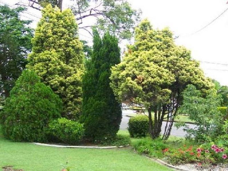 3 Milbong Street, Sunnybank QLD 4109