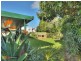 17 Bluegum Street, Macgregor QLD 4109