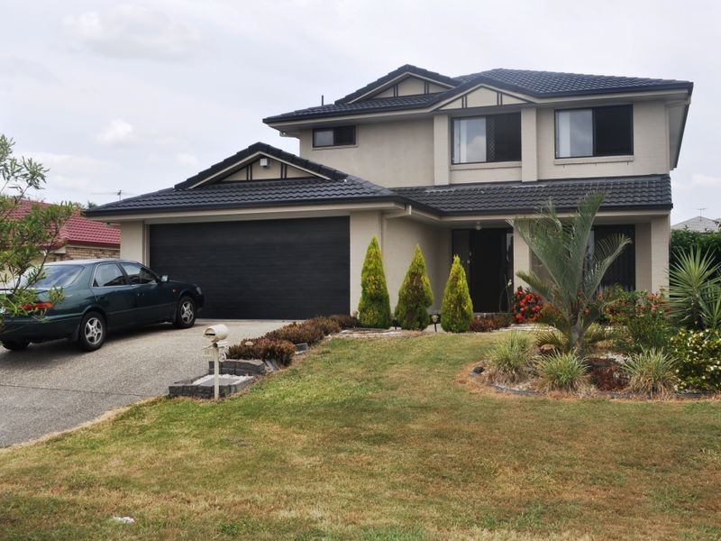 16 Muscari Crescent, Drewvale QLD 4116